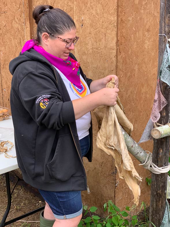Cynthia working a hide with one of the traditional brain tanning methods. Here she stands before a wooden pole and she is working and stretching the hide on the pole.